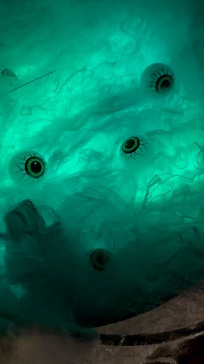 This is Halloween with my “ghoul” friends, 👻🎃🎃🎃 @godd.essmiasophia @lovely_lo316 @fernforester @danisimone040 @lovemillirey @mizzymay101 ❤️ | Fern Forester