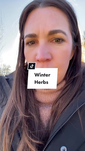 Easiest garden hack. #wintergardening #herbgarden #vegetablegardentips #budgetgardening