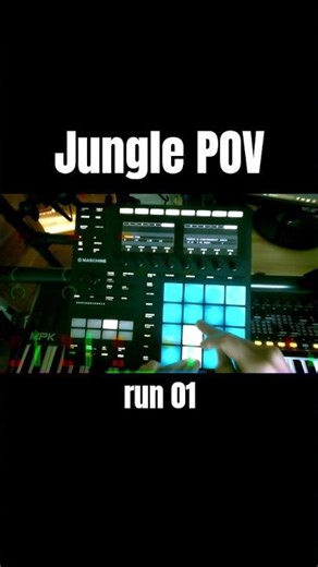 POV Fingerdrumming Jungle – Live 22s