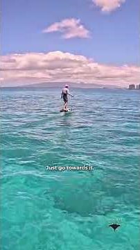 He's Surfed His Whole Life. The Ocean Still Had Something New to Teach Him.