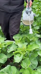 27K views · 64 reactions | Must-know hacks for a better and more efficient living! ️✨ | Simple Life | Facebook