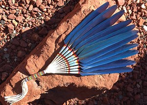 Macaw Peyote Fan - Etsy