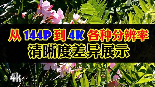 从144P到4K各种分辨率清晰度差异展示