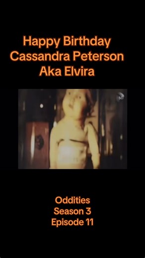 Happy Birthday Cassandra Peterson aka Elvira, Mistress of the Dark! Here is a clip when she was on my show Oddities Elvira Mistress Of The Dark Fans #elvira #cassandrapeterson | Mike Zohn