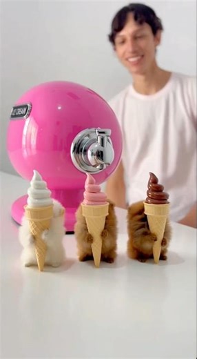 Miniature puppies have fun with this ice cream machine 🐶🍦