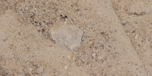 Breaking down the science behind rock salt