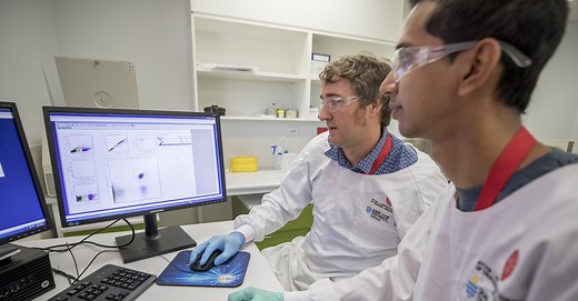 Study a Master of Public Health and Tropical Medicine