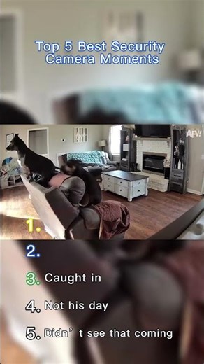 Top 5 Best Security Camera Moments #moments #ranking #top #funny #animals #fails #security #camera