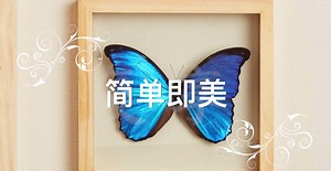 FX2000,一台好用的光谱仪，光纤光谱仪 - 上海复享光学股份有限公司