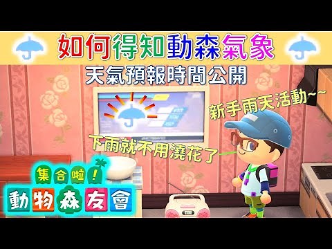 集合啦！動物森友會 |【秘密攻略】如何得知動森氣象，天氣預報時間公開！動森新手的雨天活動！