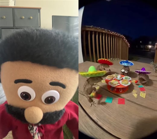 #duet with @user67676767 #lizard