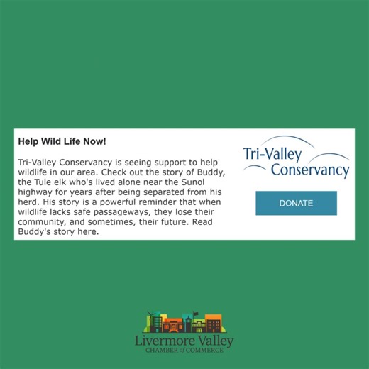 While you're in the giving spirit, please consider donating to one or more of our wonderful local nonprofit organizations. Our community depends on supporters like you to help others. Watch the video to see about a number of efforts being made this year to assist others, all by our chamber members. We hope that you will find something that speaks to your heart! You can give here: Tri-Valley Conservancy https://give.trivalleyconservancy.org/campaign/742489/donate?c_src=email&c_src2=GT2 Spectrum C