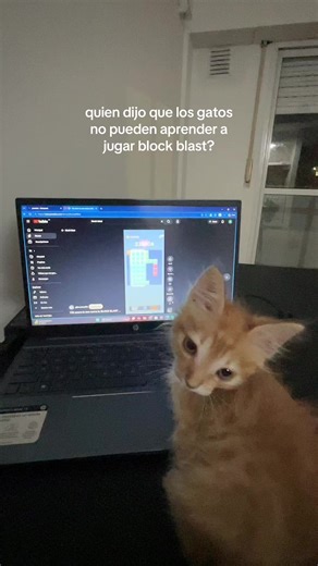 block blast🧩| dale hijo ya casi #blockblast