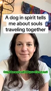 Yes I talk to dogs too!!! And whatever animal, it doesn’t matter what kind. Cash was in spirit and had a very strong soul connection with his dad. Watch my pinned videos to answer any questions you have and my website is in my bio 🙂 #animalcommunicator #animalcommunication #telepathiccommunication #petpsychic #telepathy #spiritualmessages #pastlife #pastlives #Reincarnated #SoulfulSounds #MysticMessages #dobermanpinscher #reincarnation #Reincarnated #messagesfromspirit #loricowen #rainbowbridge