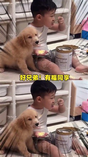 After Incident, Young Master's Victim: A Twisted Tale of Little Golden