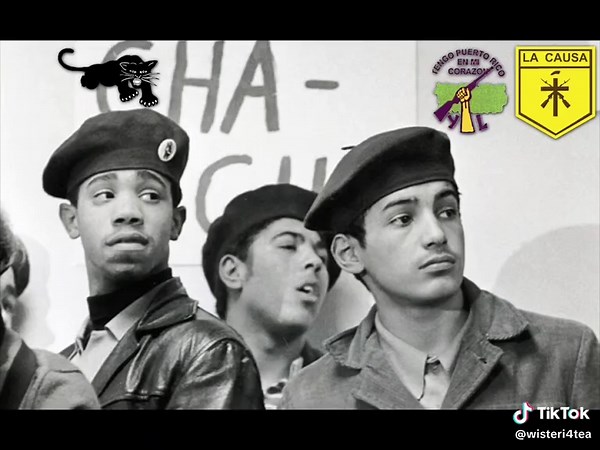 Unity is the key to success. It’s important to unite even with those different than us whether that be race, culture, gender, age and maybe even ideals. In a fight of class, unity is a gateway for taking down elite’s. Power to the people. #fyp #foryou #history #rainbow #coalition #1960 #politic #civilrights