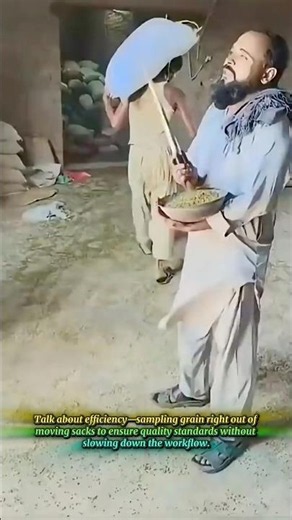 Traditional Grain Probe Quality Sampling Technique