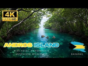 Andros Island | Blue Holes, Mangroves & Untouched Wilderness