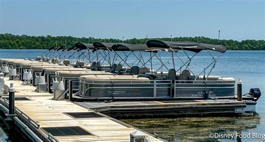 I Rented a Pontoon Boat for $50 at Magic Kingdom and What Happened Next Will Shock and Terrify You | the disney food blog
