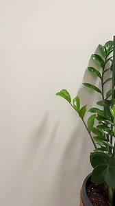 34K views · 43 reactions | Not sure if your container is eligible? We've got you. With the Containers for Change app, it takes just two simple steps to find out:  Download the Containers for Change app 盧 Scan the barcode on your container with the app You'll instantly know if it's worth 10c! It’s that easy. Turn your containers into change – download the app now: https://www.containersforchange.com.au/qld/app | Containers for Change QLD | Facebook