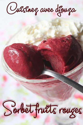 Sorbet aux fruits rouges surgelés (sorbetière)