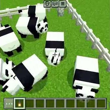 EASY AUTOMATIC PANDA FARM in Minecraft 🐼🌿 | Unlimited Bamboo & AFK Breeding!