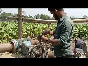 Field Step Drawdown Test | Pumping Test