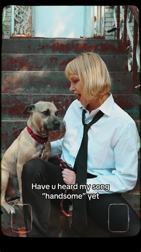 Have u heard my song Handsome? Would love for u to check it out. #indiepop #musicdiscovery #pitbullsoftiktok