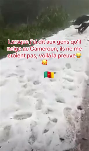 #miniminorpdgofficiel1 #camerountiktok🇨🇲 #tiktokallemagne🇩🇪 #tiktokcotedivoire🇨🇮 #abonnetoi❤️❤️🙏 @Miniminorpdgofficiel2 @Miniminorpdgofficiel3 @Mini minor pdg @Mini minor pdg @Mini minor pdg