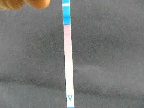 One Step Pregnancy Dipstick Test