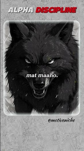 2026 Alpha Survival Rules 🐺#darkpsychology #alphamindset #wolfdiscipline #silentpower #2026