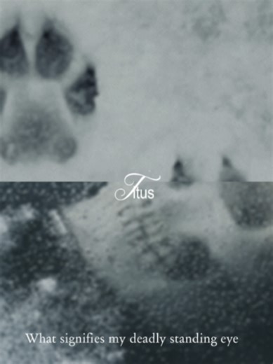 Titus Andronicus: The Tragic Story Behind District 6