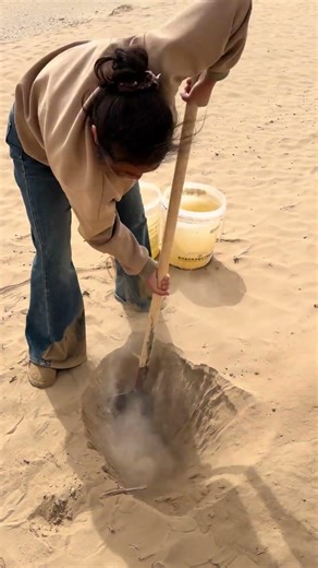 Planting Trees in the Desert 🌱🏜️