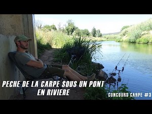 peche de la carpe en riviere! concours #3