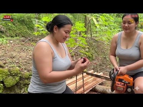 HEART-STOPPING MOMENT! BROKEN CHAIN WHILE SPLITTING SENGON TREE