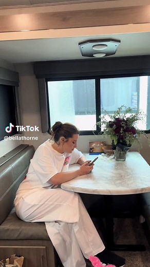 Ive nvre bean diegnoised wiht anyhtngi | halsey and bella brave