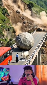 ternyata sapi nya baik hati #animal #respect #kreatif #inspiration | Pranata Dung