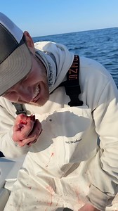 The ritual of biting the heart of your first tuna. Not for the faint of heart! | Fish Circus