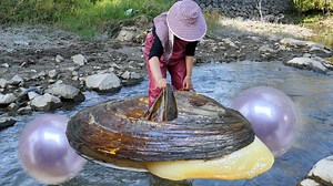 314K views · 11K reactions | What determines the color of pearls, pearls in giant shells are amazing | Xiaohuiya | Facebook