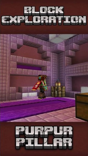 PURPLE BUILD IDEA (End game) #minecraftbuilding #blockexploration #purpur