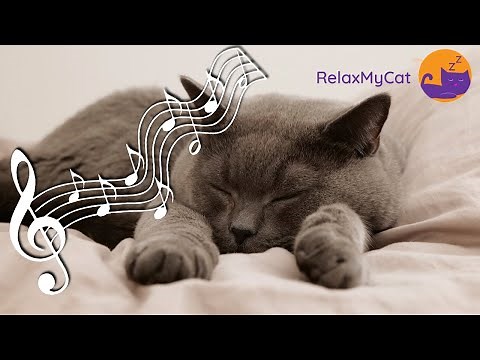 Sounds Cats Love - Soothing Cat Music for Happy and Relaxed Cats💤🎶
