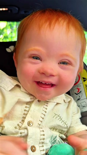 Descubre el mundo de los pandas