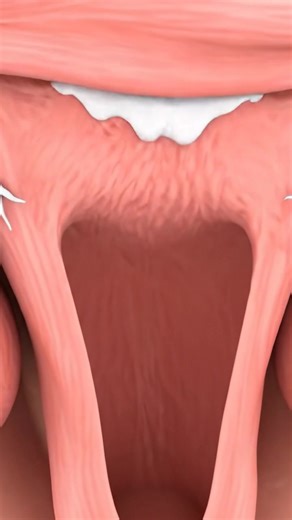White Discharge period First day painfull process inside view #period #process #human #anatomy #foryouシpage | Doctor Alia