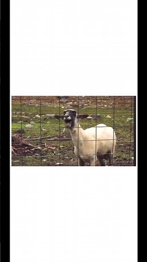 what to do when everything feels boring and non wntertaining