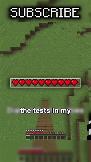 How iron armor is stronger than netherite.👌