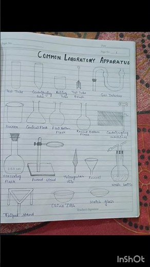 class 11th chemistry practical notebook#experiment