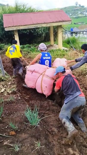 Pushing Together to Escape the Mud! #youtubevideo #shortsfeed #youtubeshorts #highlights