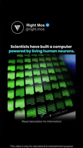 Brain Cell PC 🤯🔬