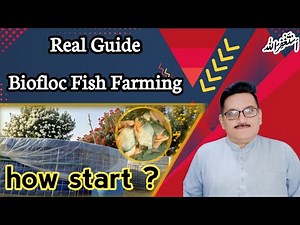 Biofloc Fish Farming Kaise Start Karein? Training, Setup & Equipment Guide