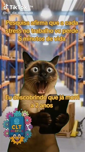 cat dead